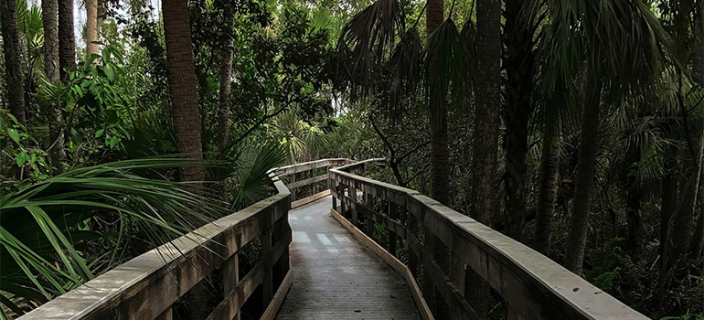 wooden trail in a park