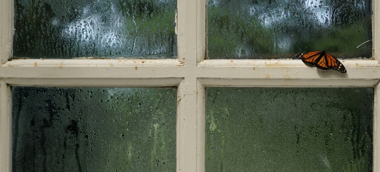 dealing with humidity while trying to convert your garage into a home office
