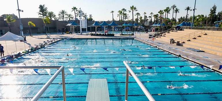 professional swimmers moving to Miami and swimming in a pool