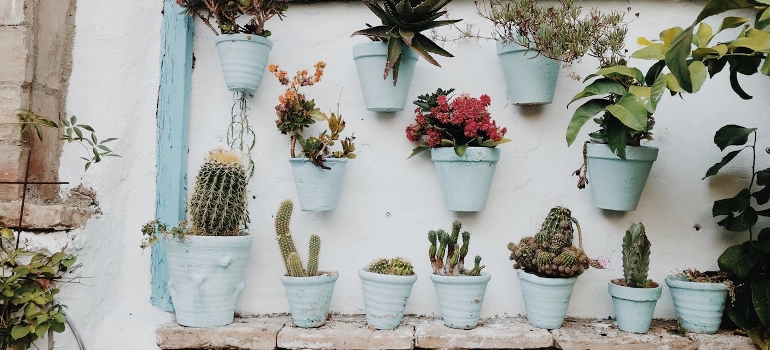 trying to transform your Miami backyard on a budget with a vertical garden