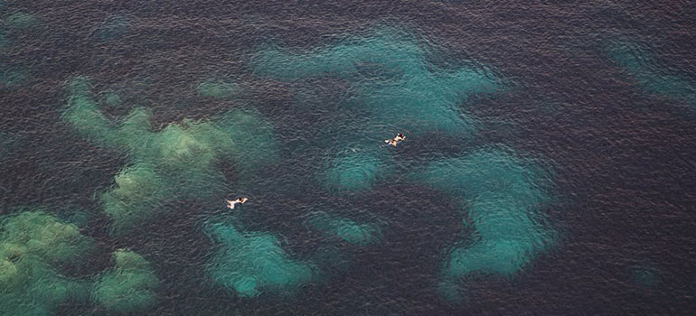 two swimmers