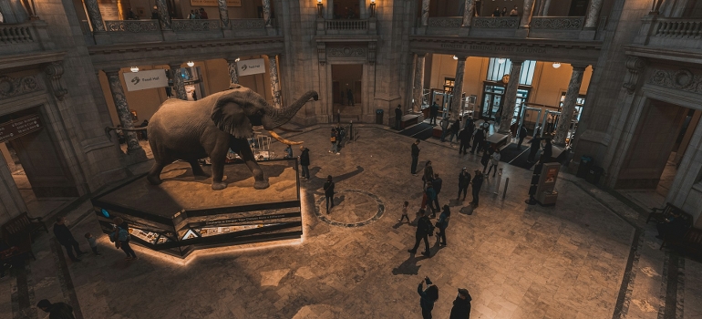 visiting Smithsonian museum after moving from Sunny Isles Beach to Washington DC