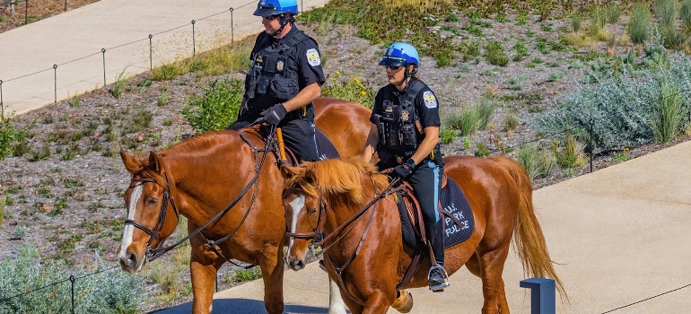 cops on horses