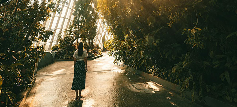 botanical garden